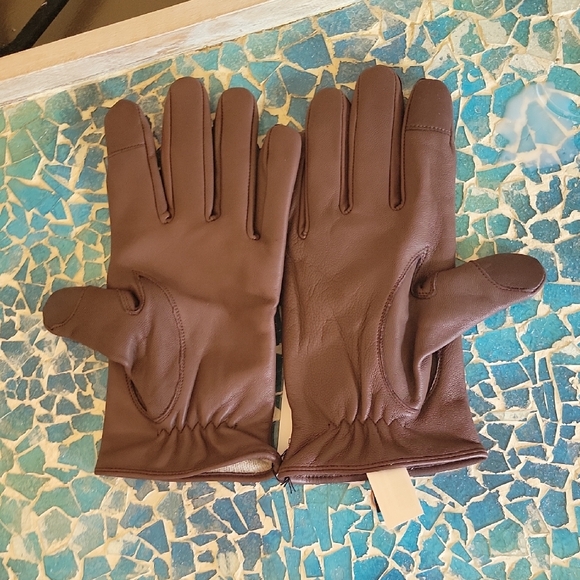 Quince Lamb Leather Cashmere Lined Gloves In Choclate - Picture 3 of 13